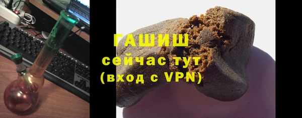 сатива Балахна