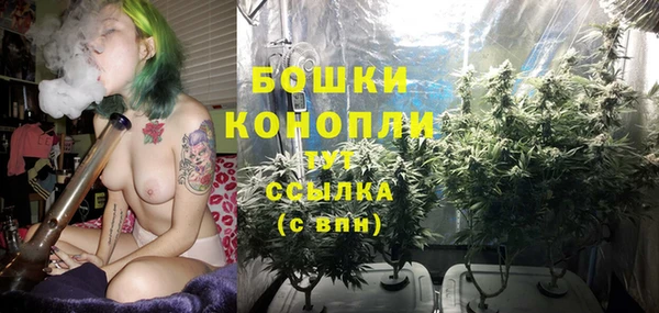 сатива Балахна