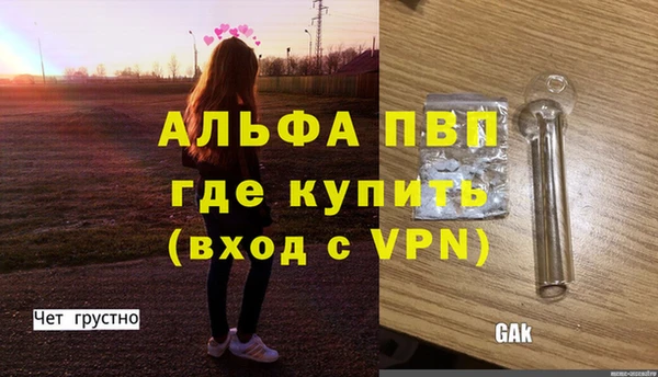 сатива Балахна