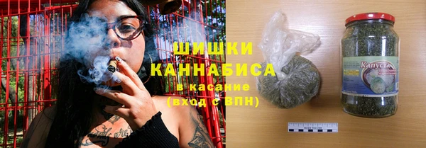 сатива Балахна